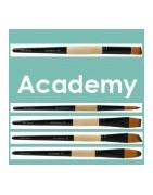 Serie Academy